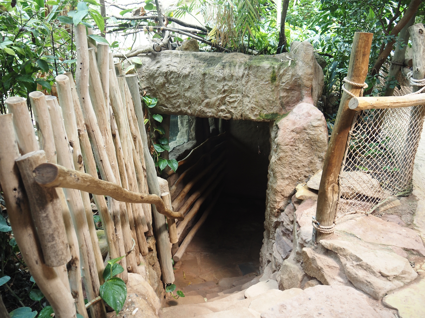 Dschungel Abenteuer - Lower viewing area for larger hippopotamus indoor exhibit, 2024-08-05