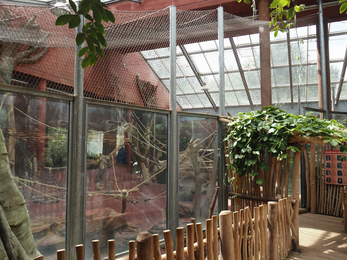 Dschungel Abenteuer - One of three chimpanzee indoor exhibits, 2024-08-05