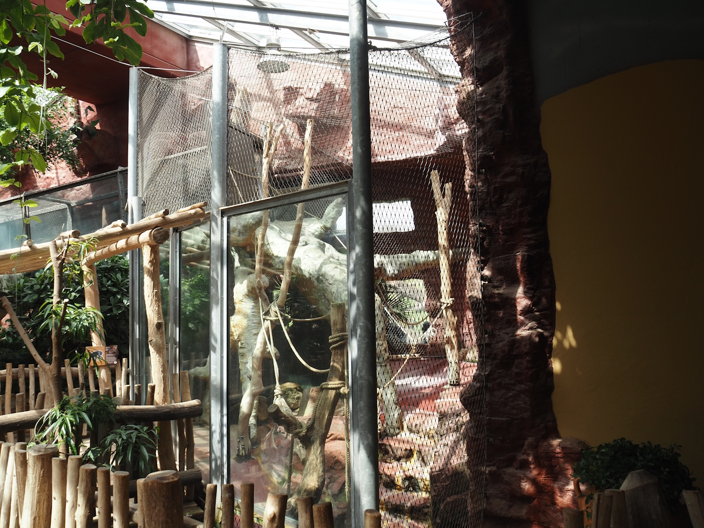 Dschungel Abenteuer - One of three chimpanzee indoor exhibits, 2024-08-05