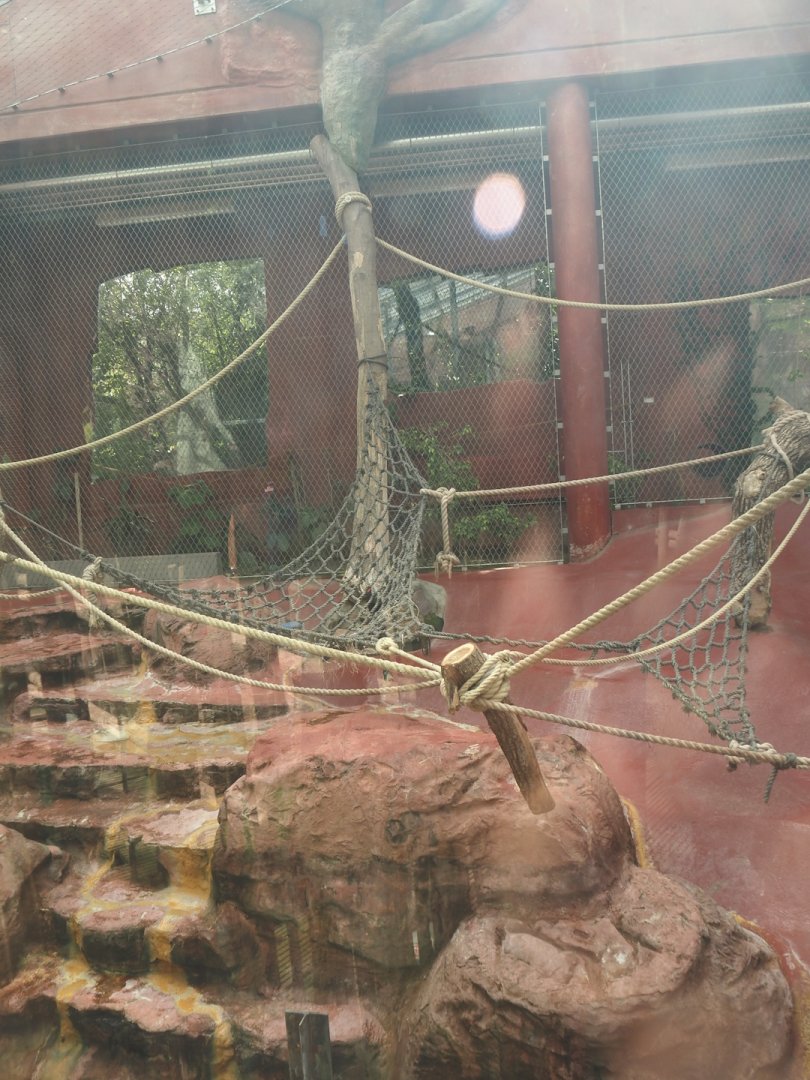 Dschungel Abenteuer - One of three chimpanzee indoor exhibits, 2024-08-05