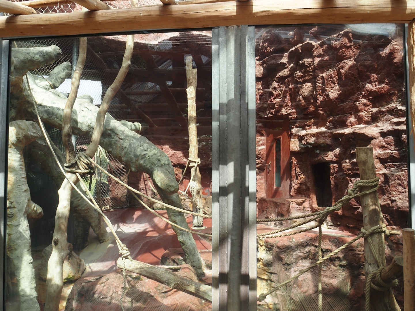 Dschungel Abenteuer - One of three chimpanzee indoor exhibits, 2024-08-05