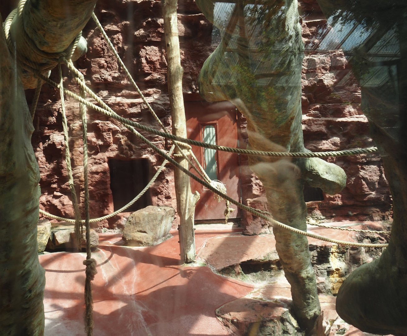 Dschungel Abenteuer - One of three chimpanzee indoor exhibits, 2024-08-05