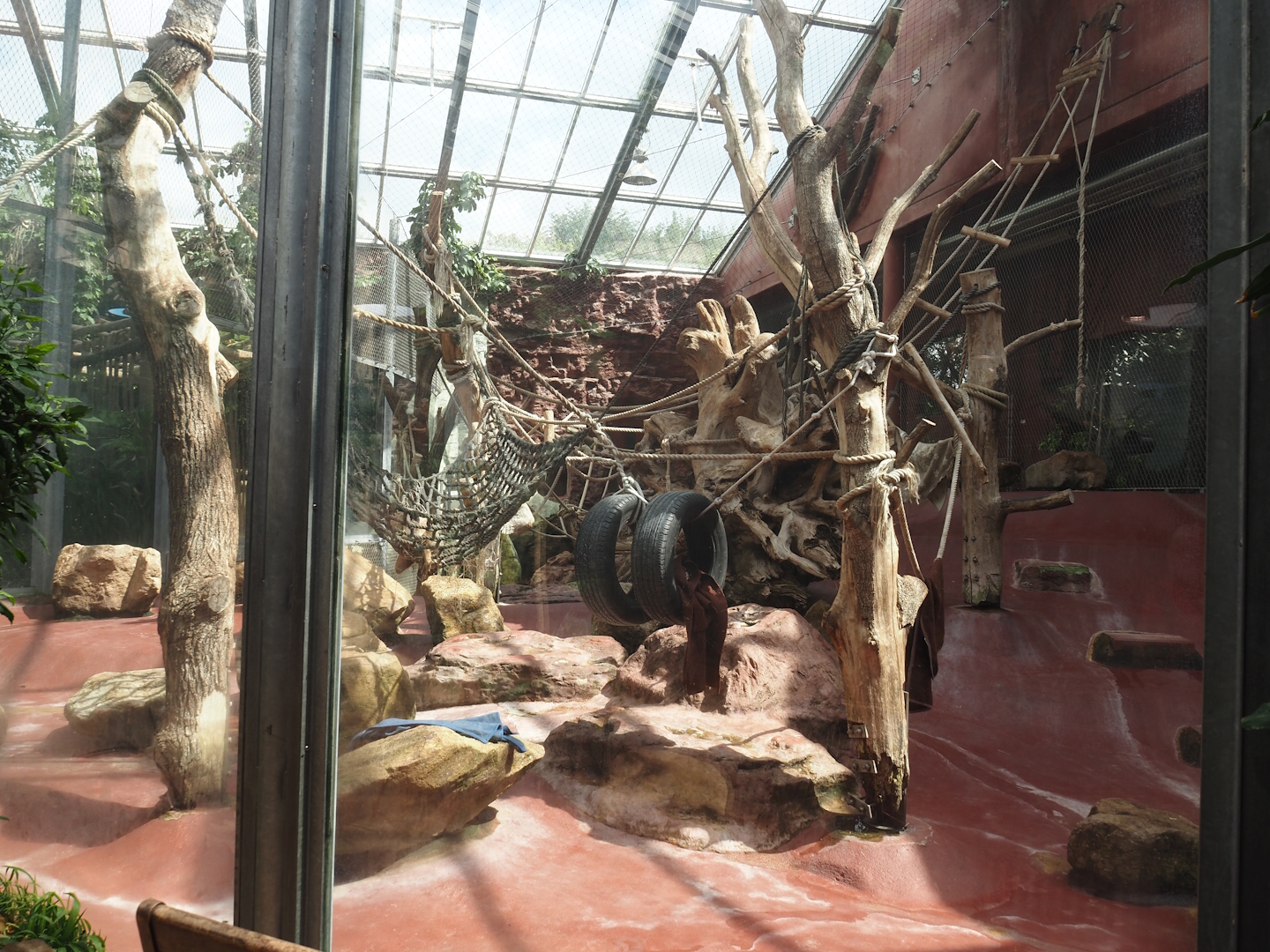 Dschungel Abenteuer - One of three chimpanzee indoor exhibits, 2024-08-05