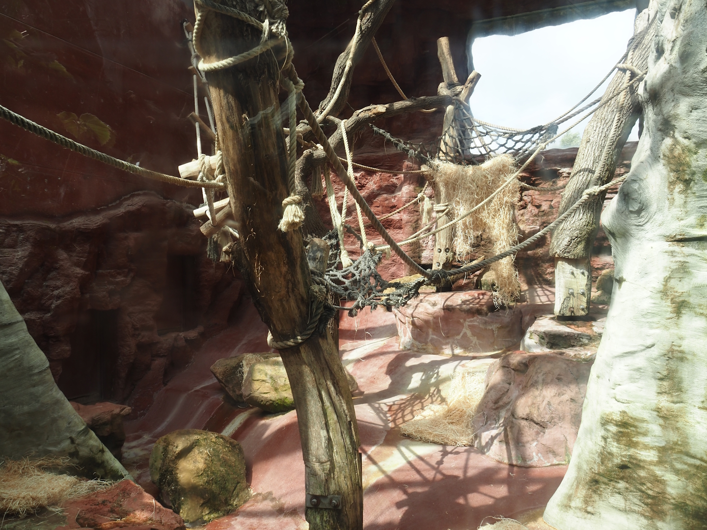 Dschungel Abenteuer - One of three chimpanzee indoor exhibits, 2024-08-05