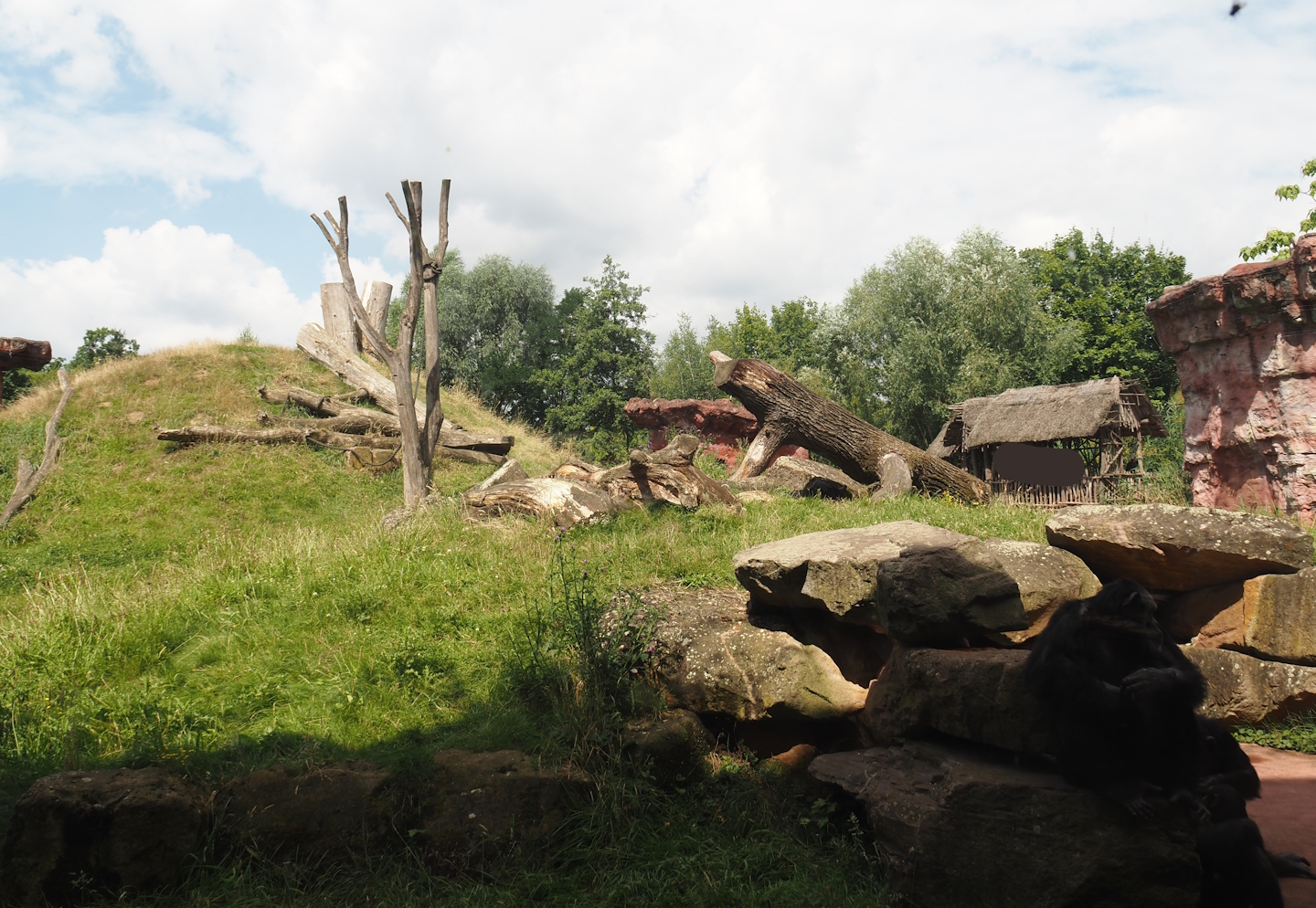 Dschungel Abenteuer - View onto chimpanzee island, 2024-08-05