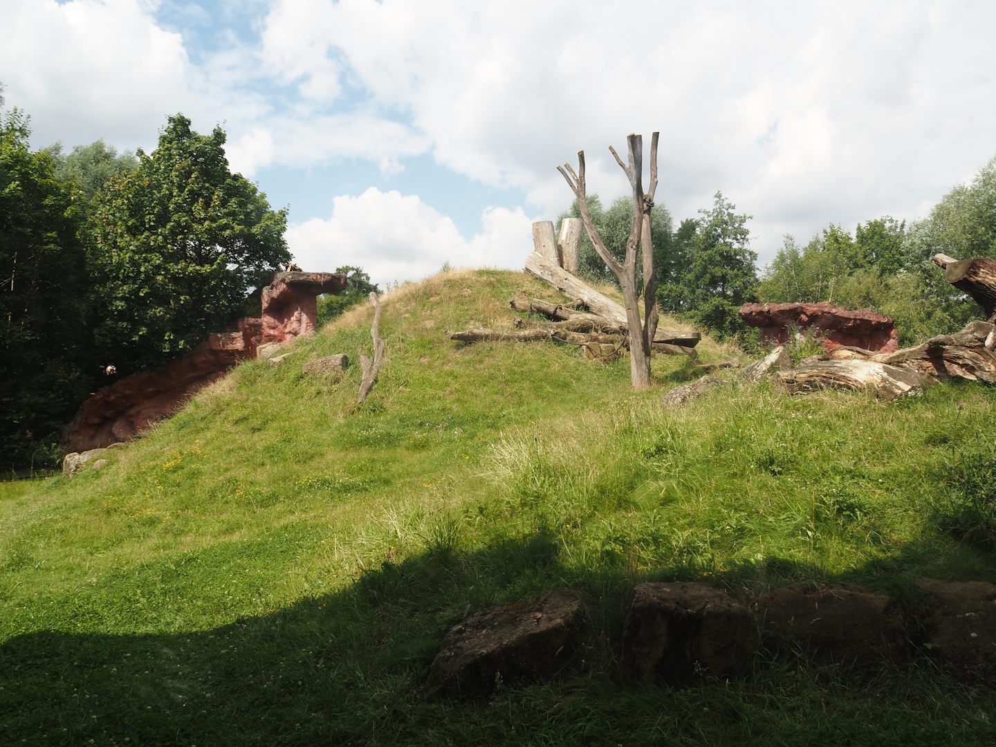 Dschungel Abenteuer - View onto chimpanzee island, 2024-08-05