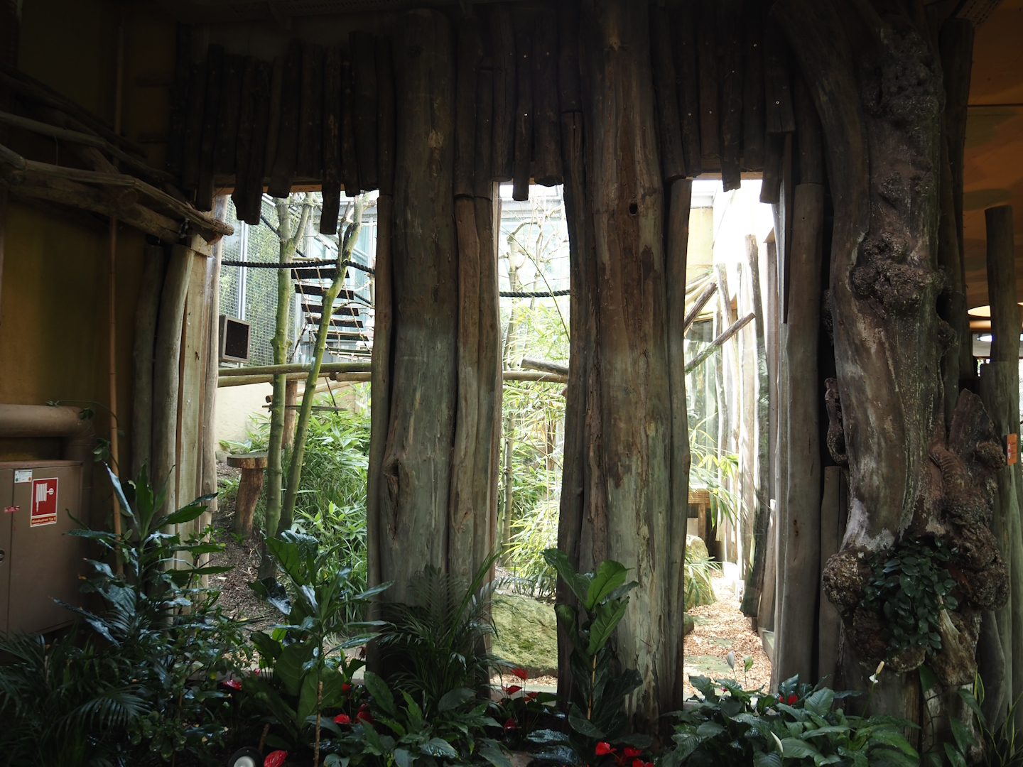 Dschungel Abenteuer - Viewing windows into crowned and ring-tailed lemur exhibit, 2024-08-05