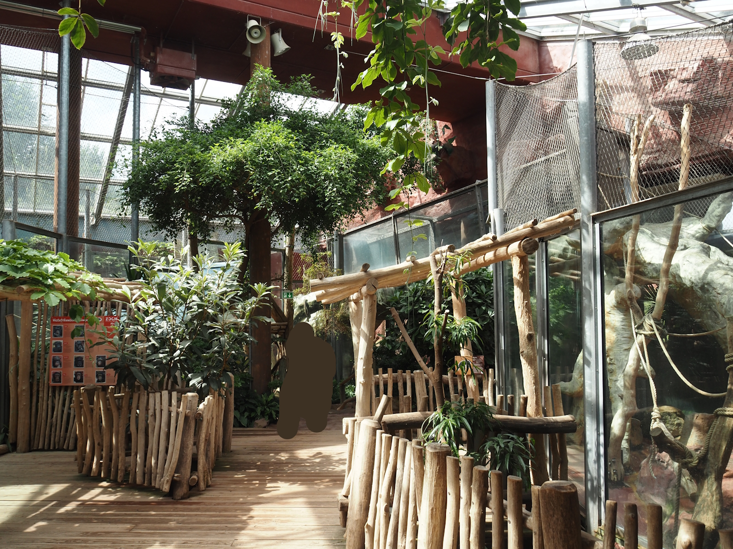 Dschungel Abenteuer - Walkway in area with chimpanzee indoor exhibits, 2024-08-05