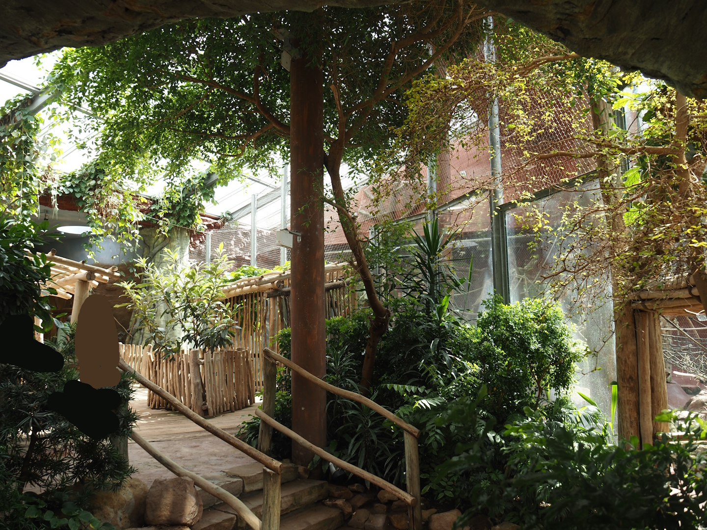 Dschungel Abenteuer - Walkway in area with chimpanzee indoor exhibits, 2024-08-05