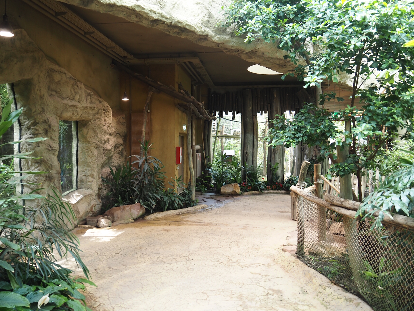 Dschungel Abenteuer - Walkway with serval and lemur viewing windows, 2024-08-05