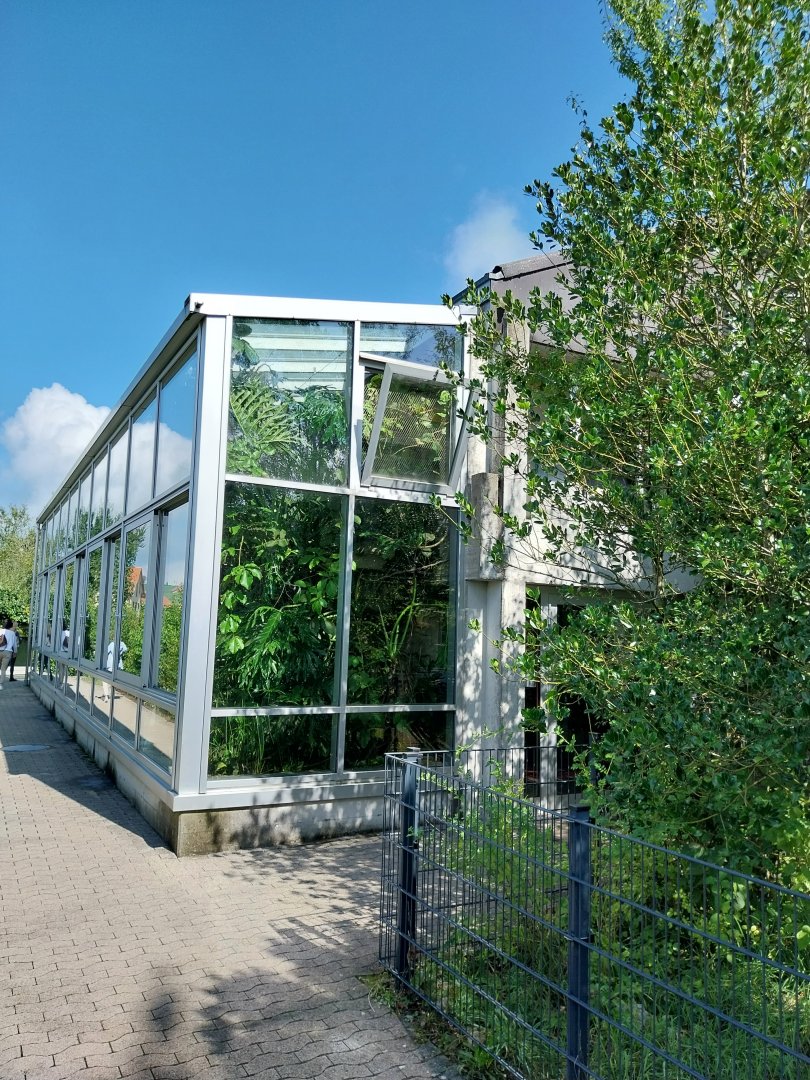 Dschungel und Reptilienhaus