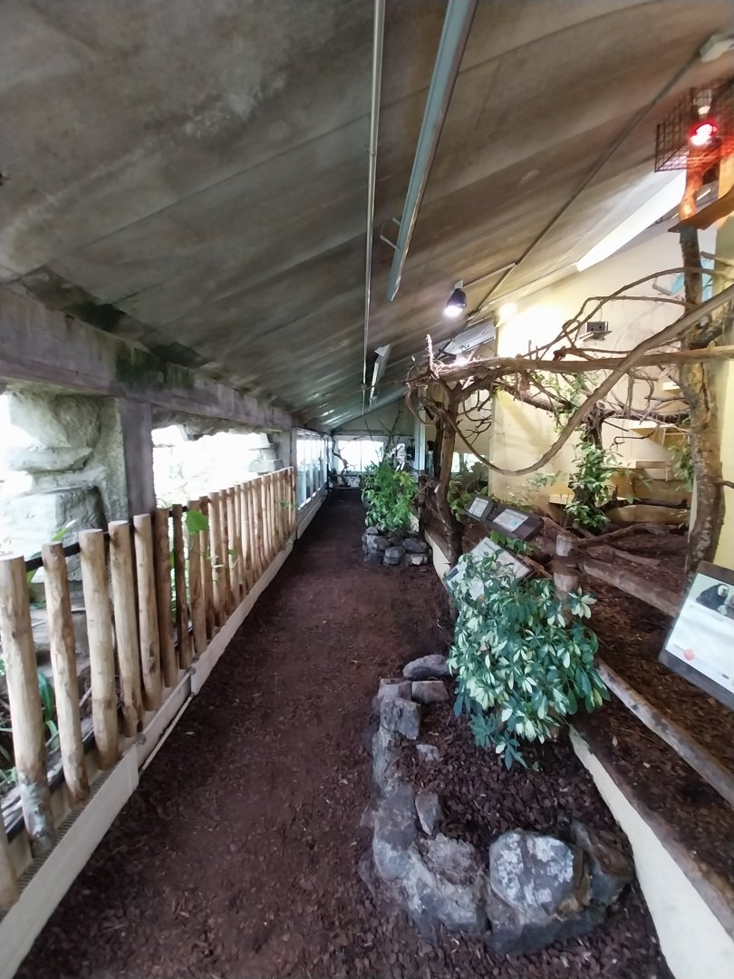 Dschungelhaus - Upper floor