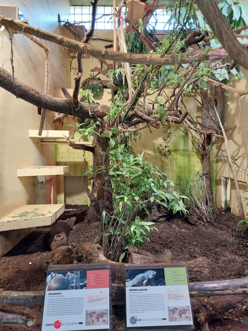 Dschungelhaus upper floor