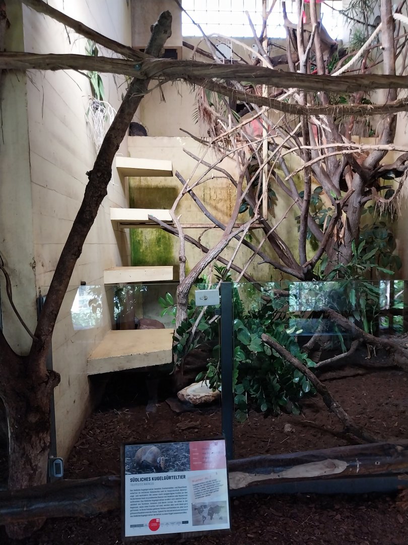 Dschungelhaus upper floor