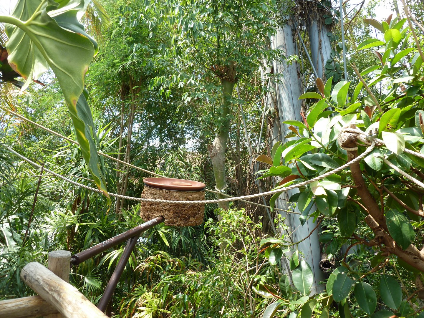 Dschungelwelt - Feeding station