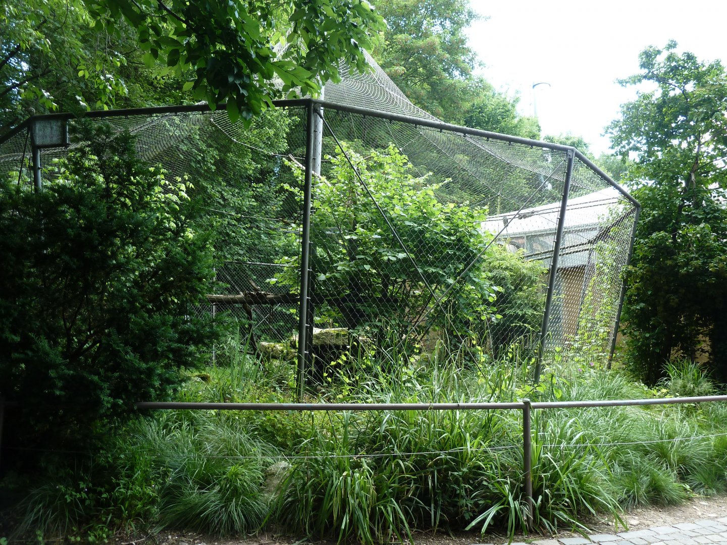 Dschungelwelt - Fishing cat enclosure
