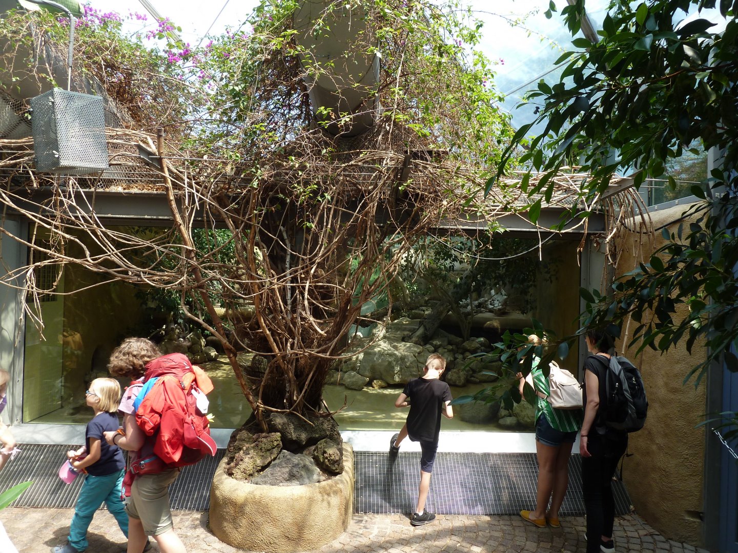 Dschungelwelt - FIshing cat enclosure