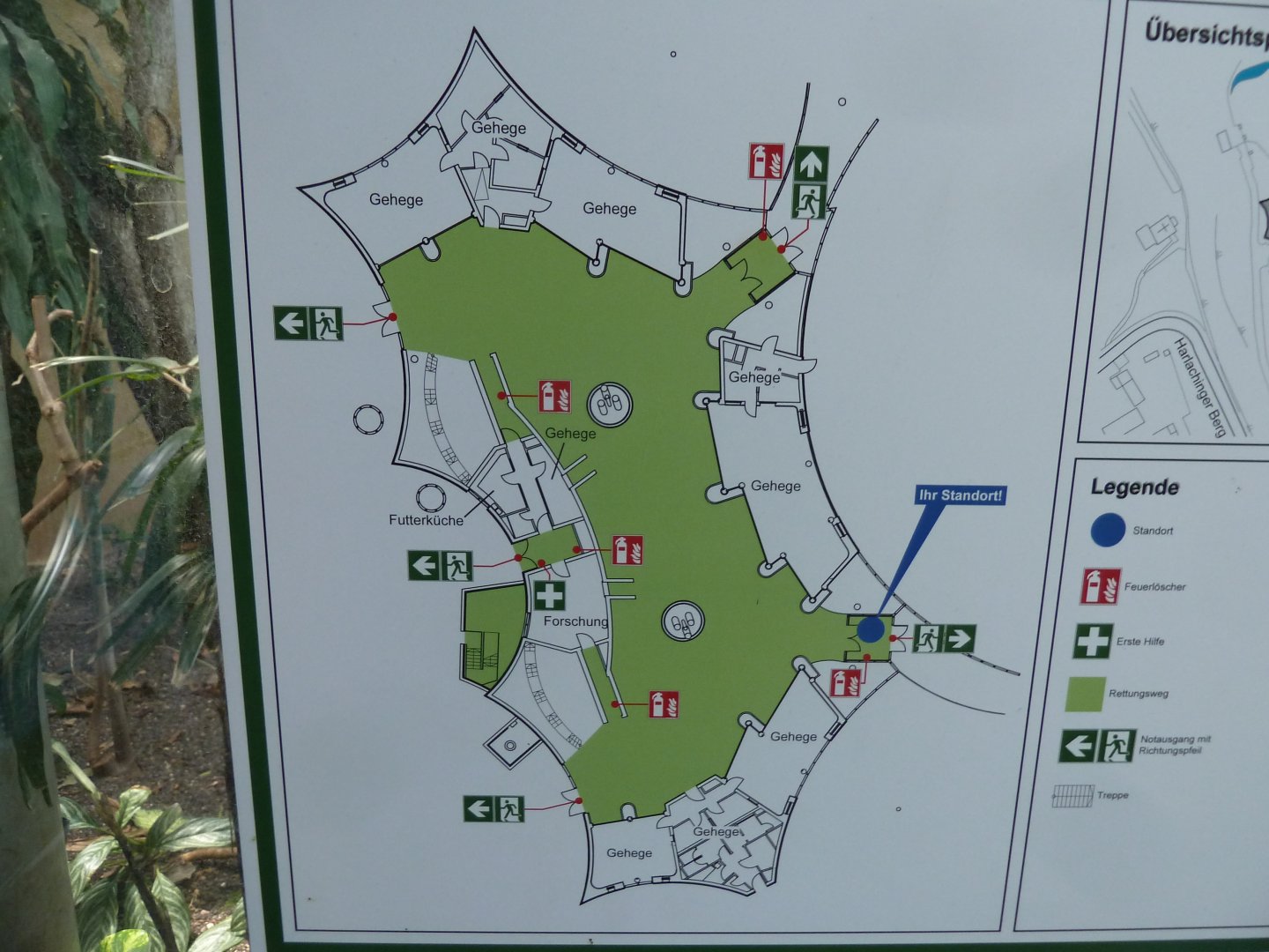 Dschungelwelt - Floorplan