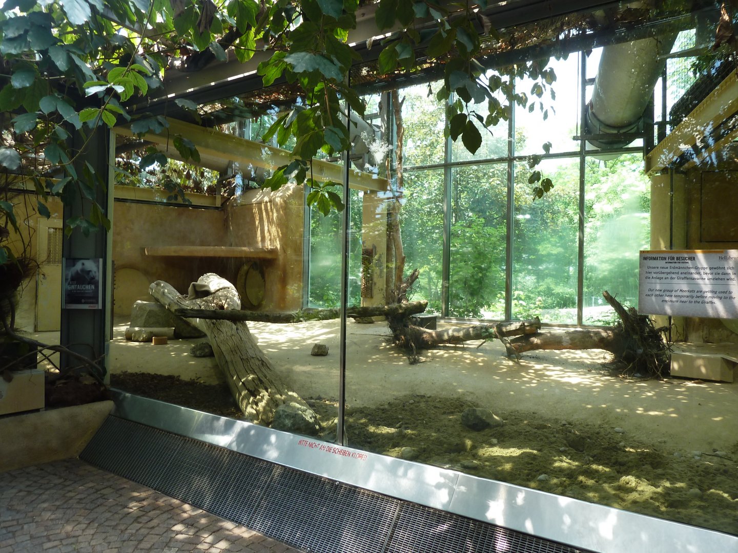 Dschungelwelt - Former lion enclosure