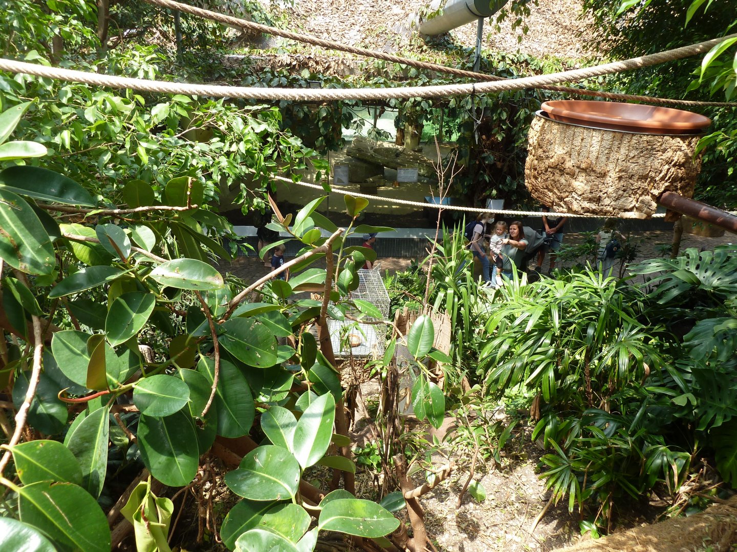 Dschungelwelt - General view from upper part