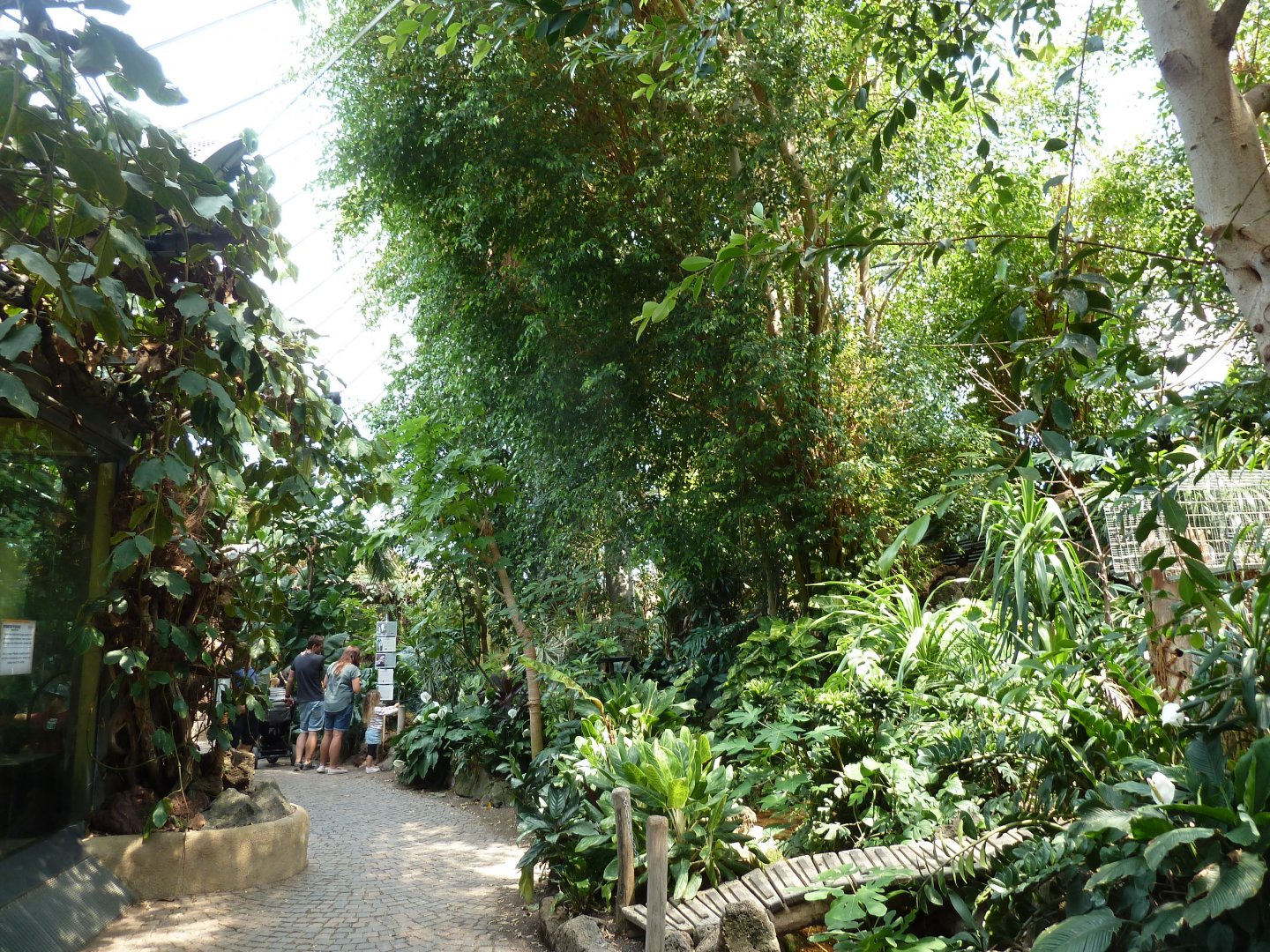 Dschungelwelt - General view