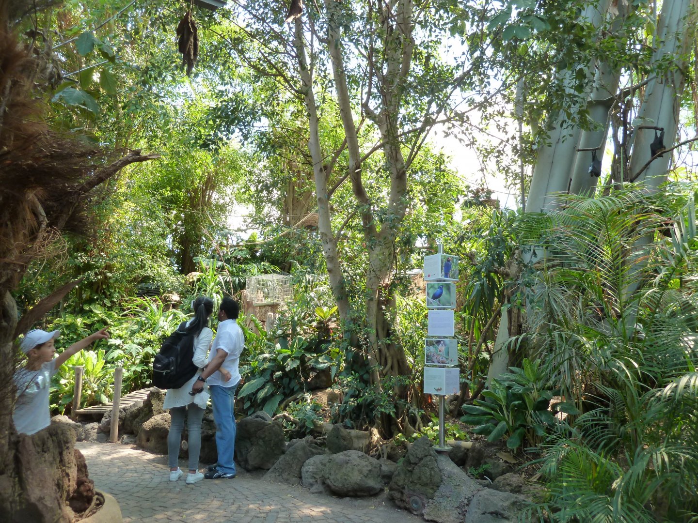 Dschungelwelt - General view