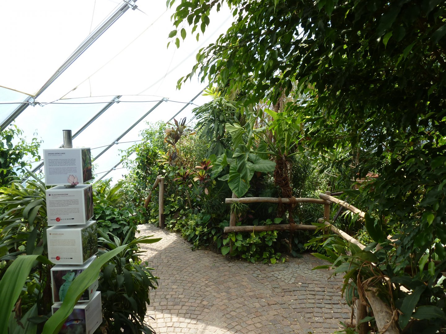 Dschungelwelt - Upper part