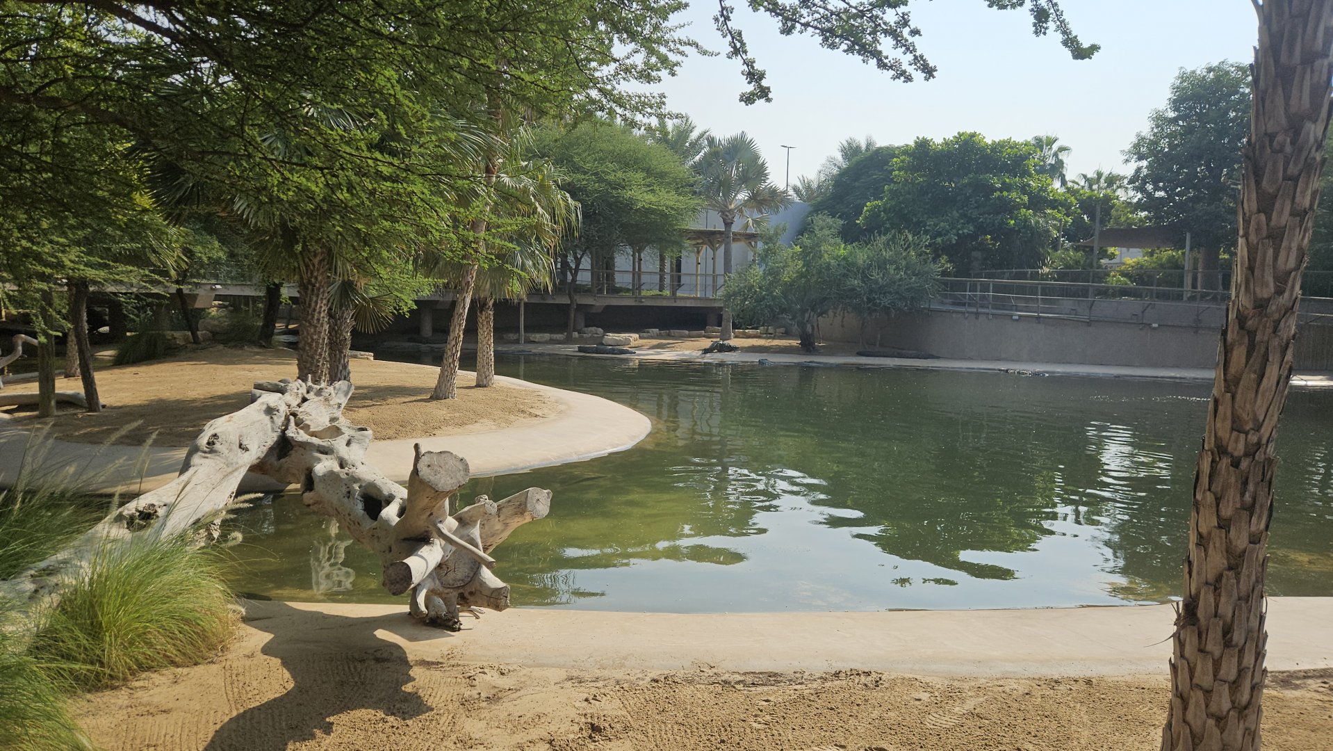 Dubai crocodilepark