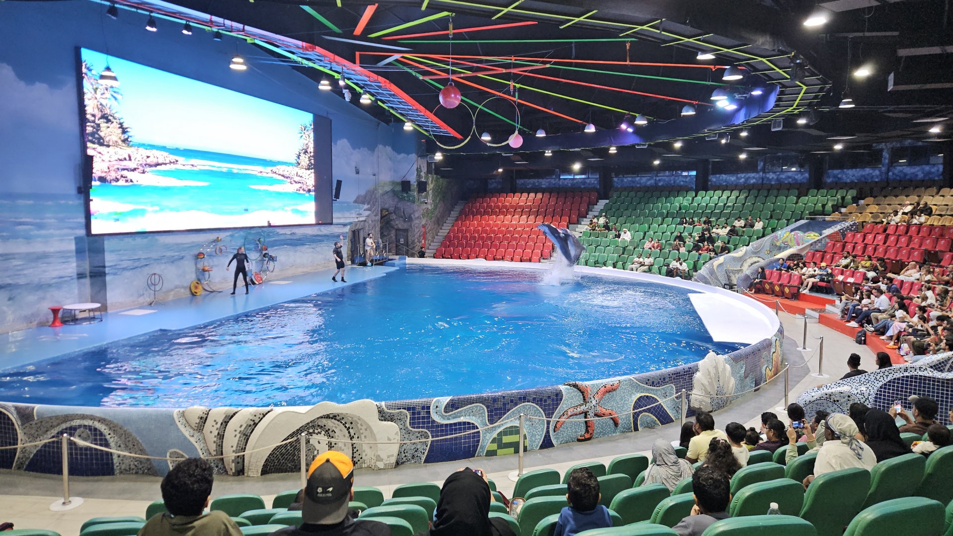 Dubai dolphinarium