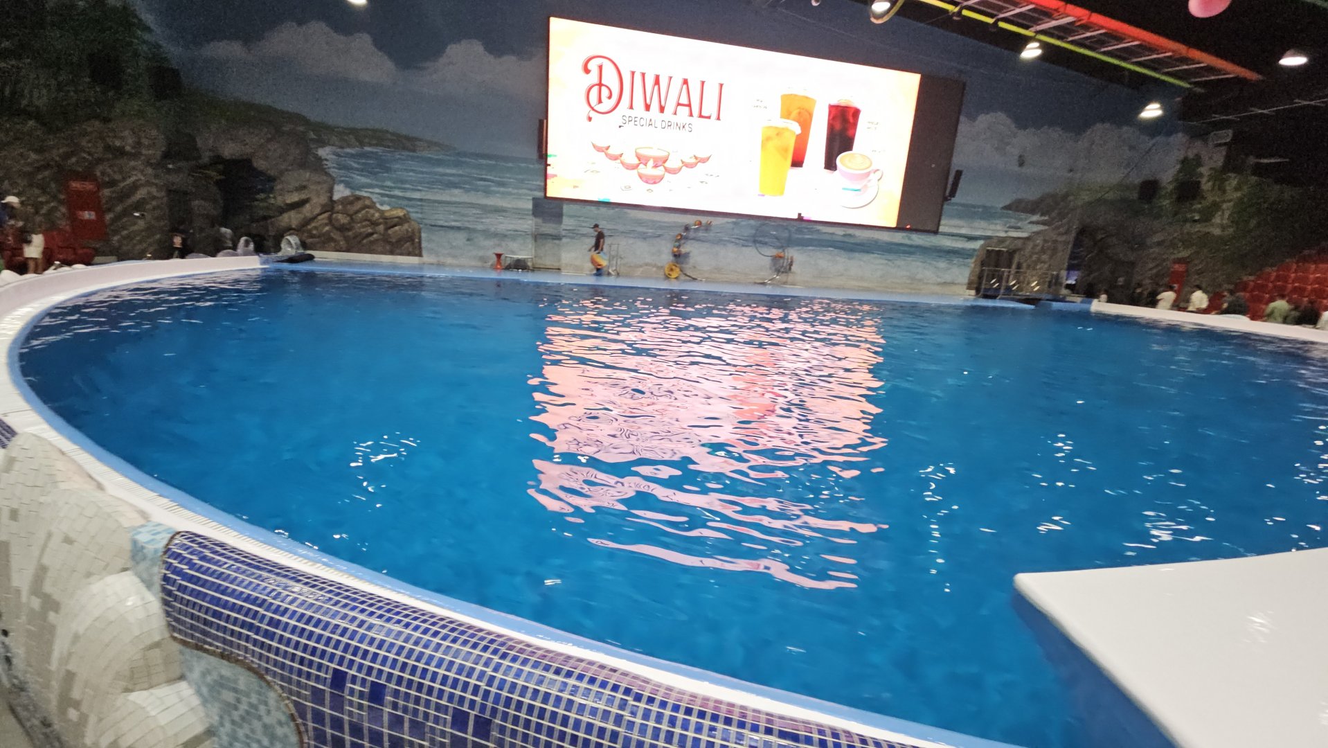 Dubai dolphinarium