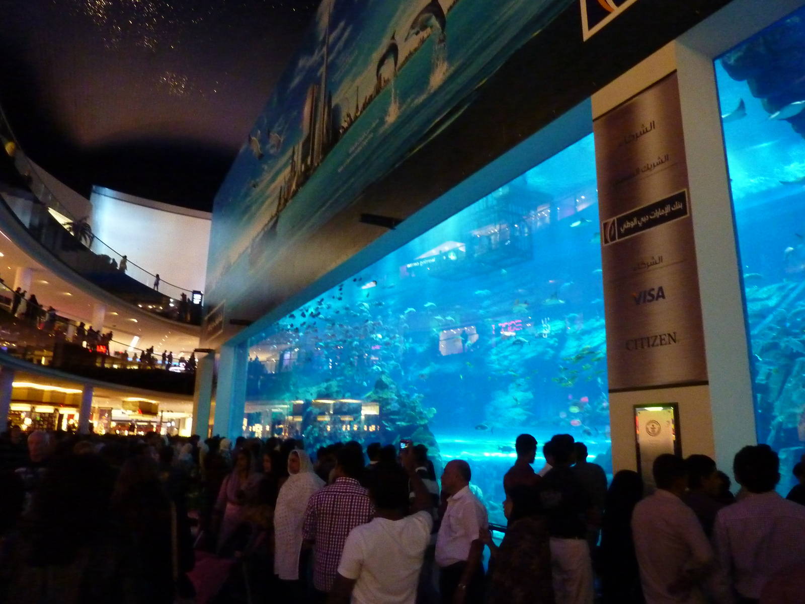 Dubai mall aquarium viewing window