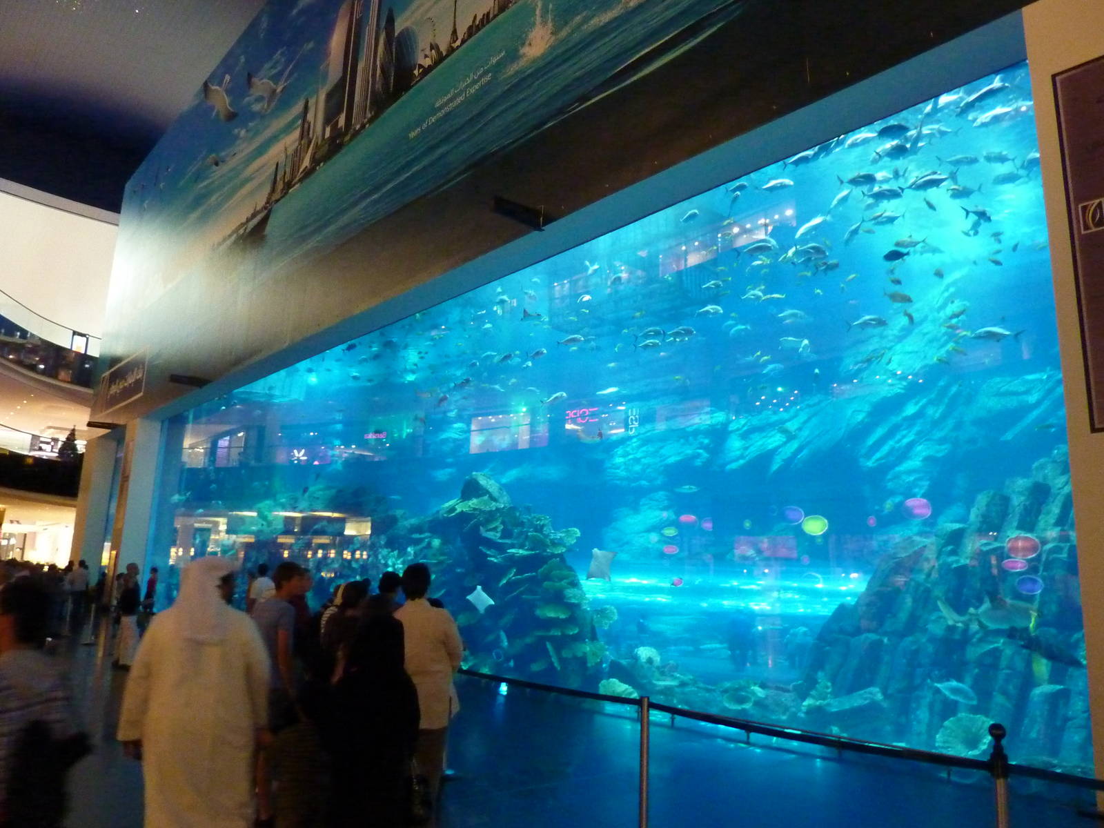Dubai mall aquarium viewing window