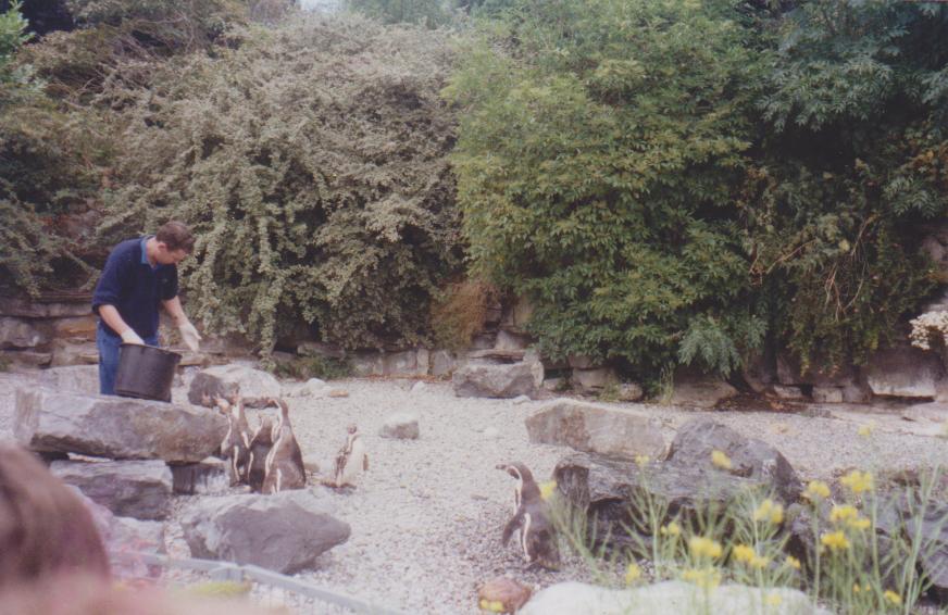 Dublin Zoo: 2001
