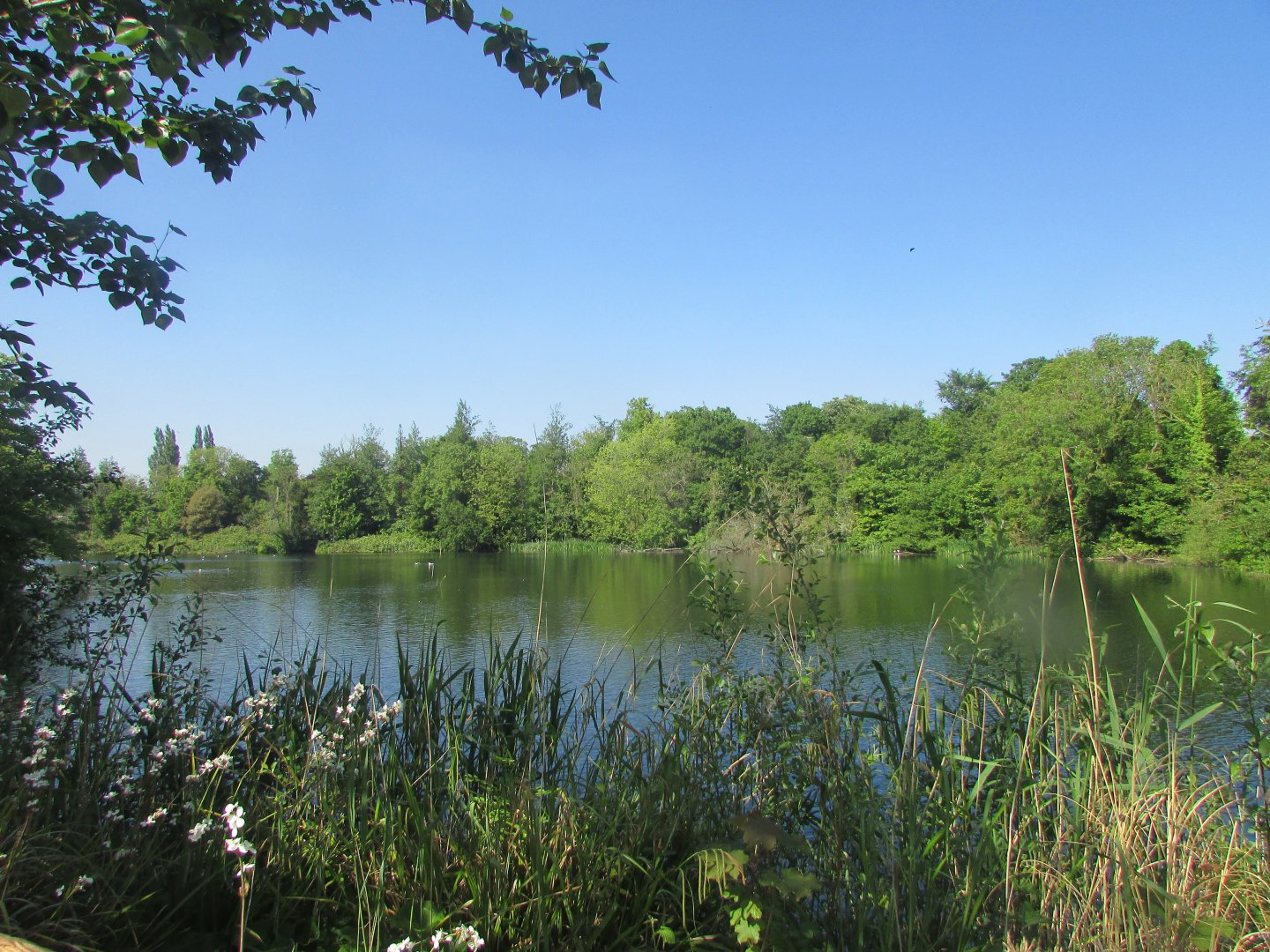 Dublin Zoo - African Plains lake
