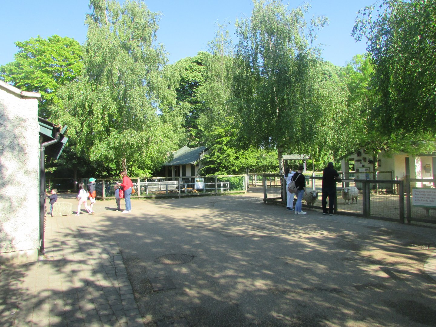 Dublin Zoo - Family Farm