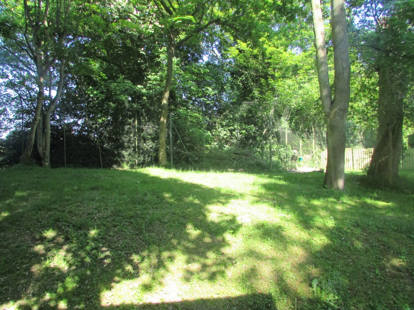 Dublin Zoo - First side of second okapi exhibit