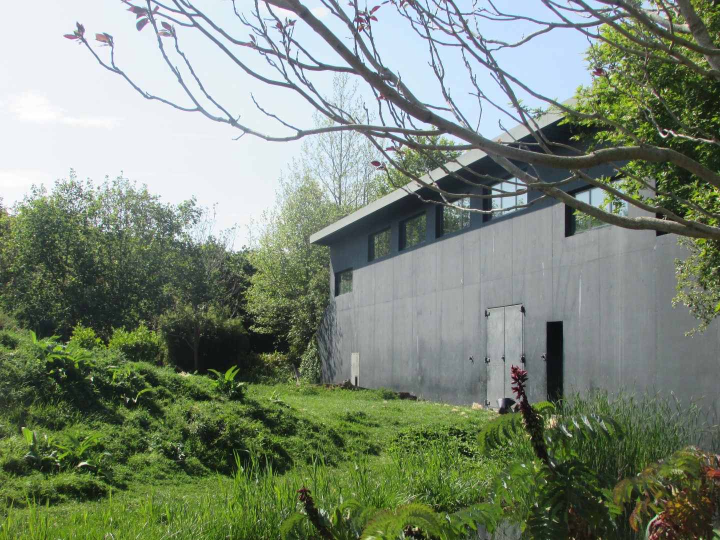 Dublin Zoo - Gorilla shelter