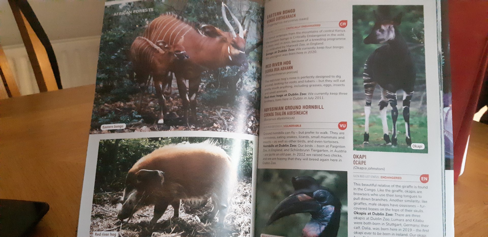Dublin zoo guide