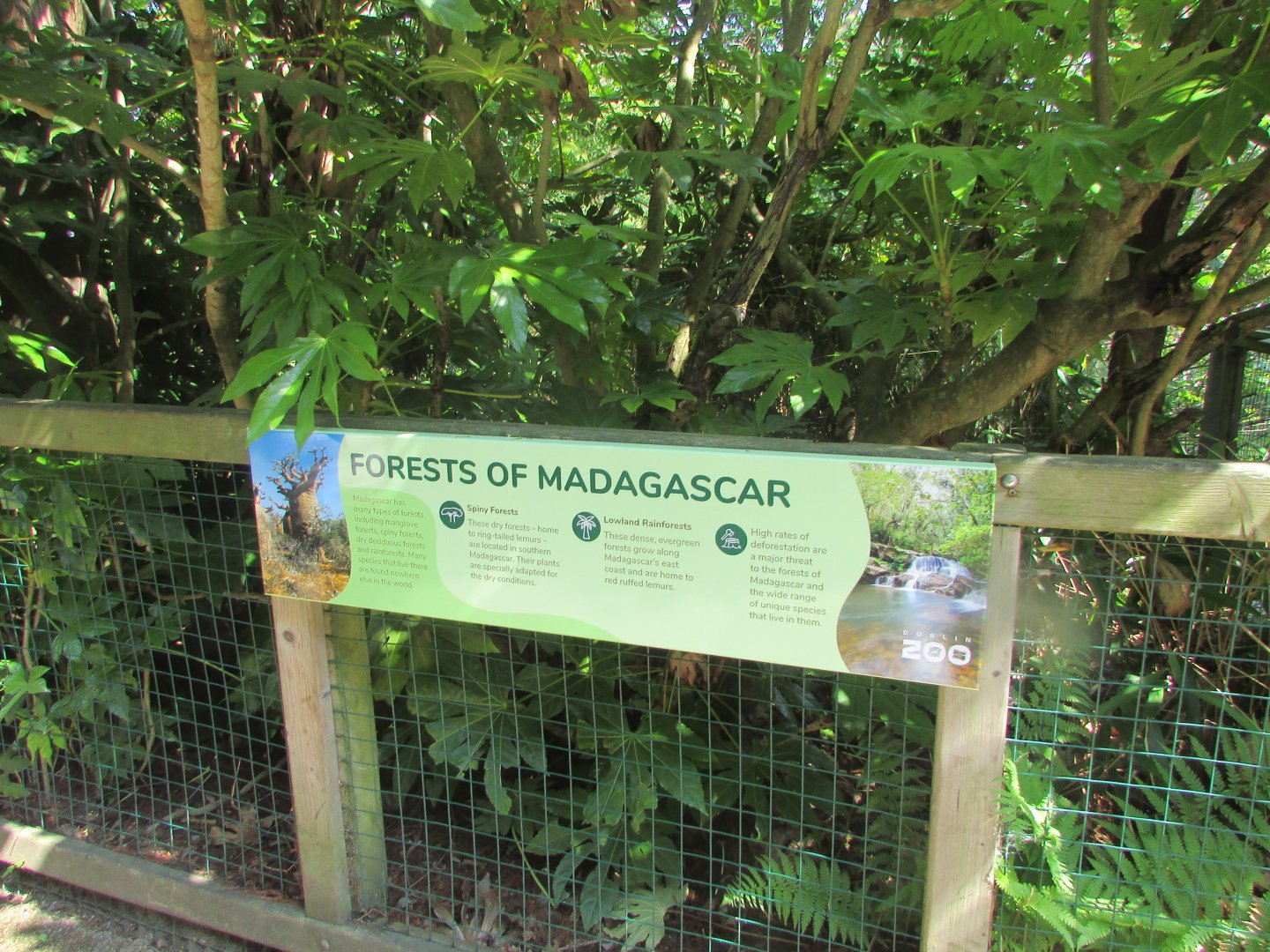 Dublin Zoo - Informative sign