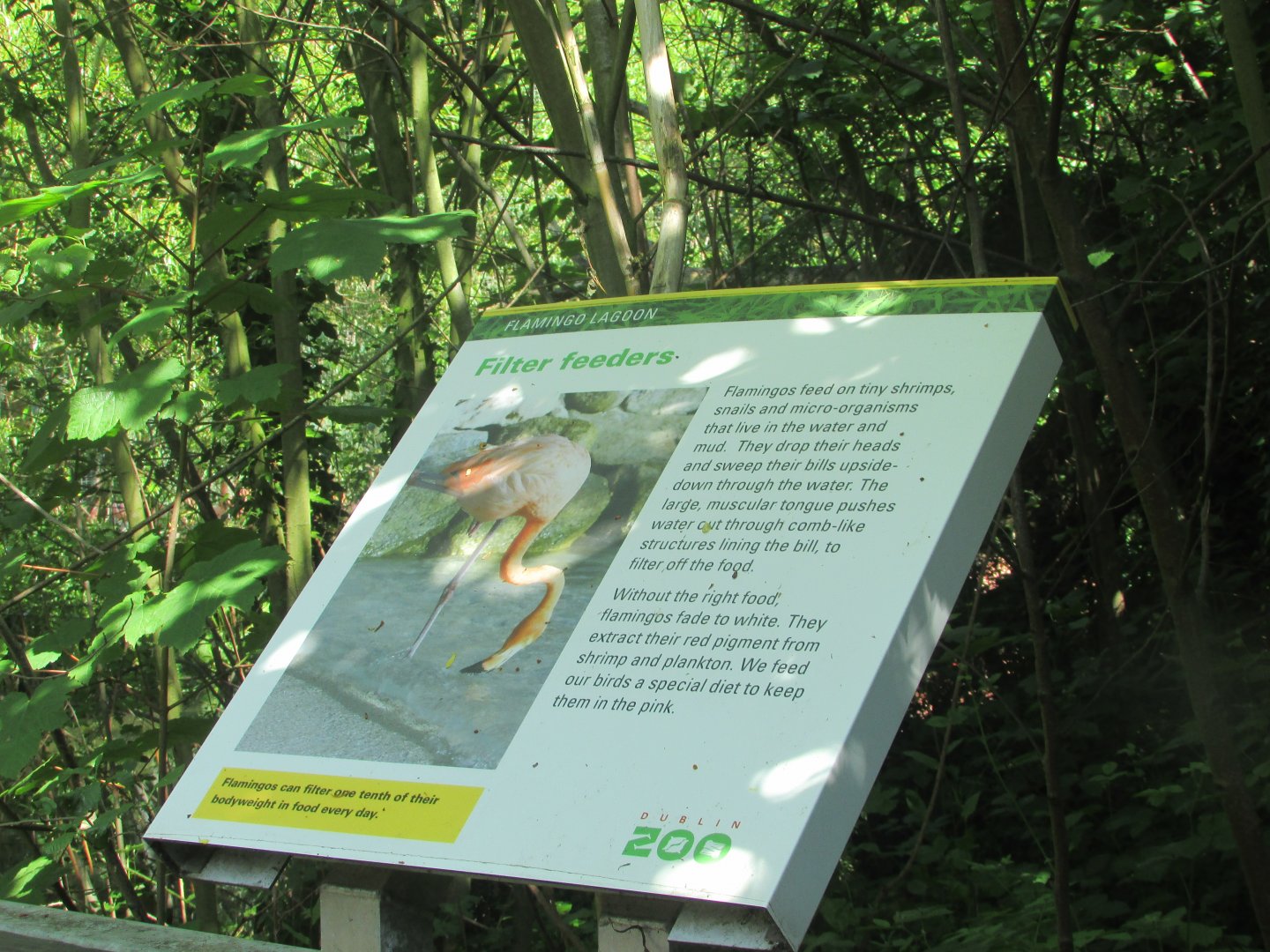 Dublin Zoo - Informative sign
