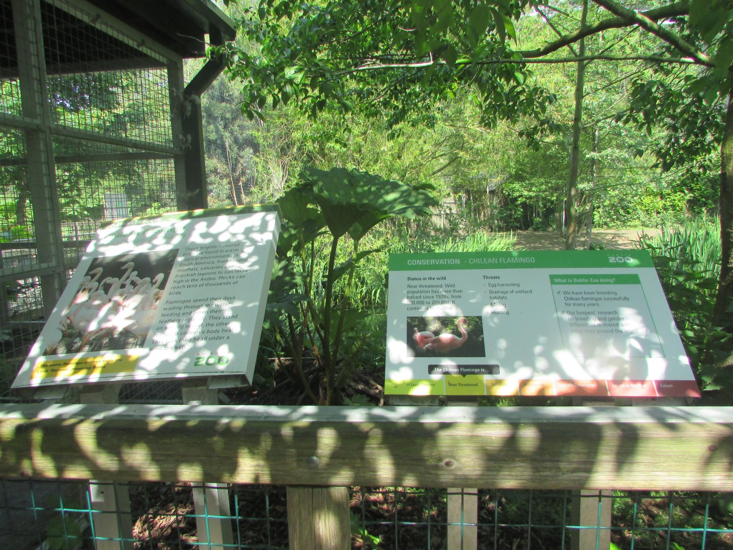 Dublin Zoo - Informative sign