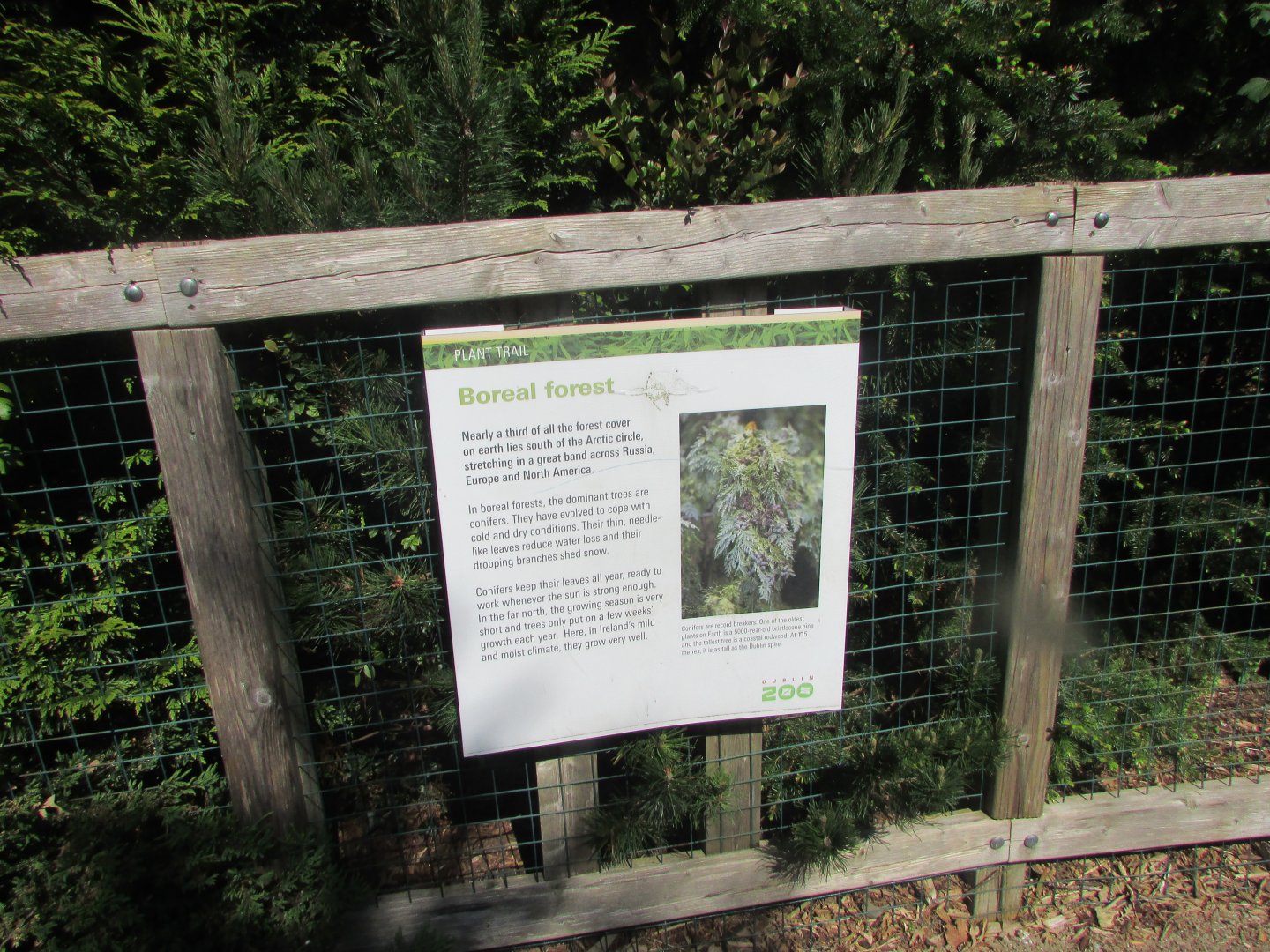 Dublin Zoo - Informative sign