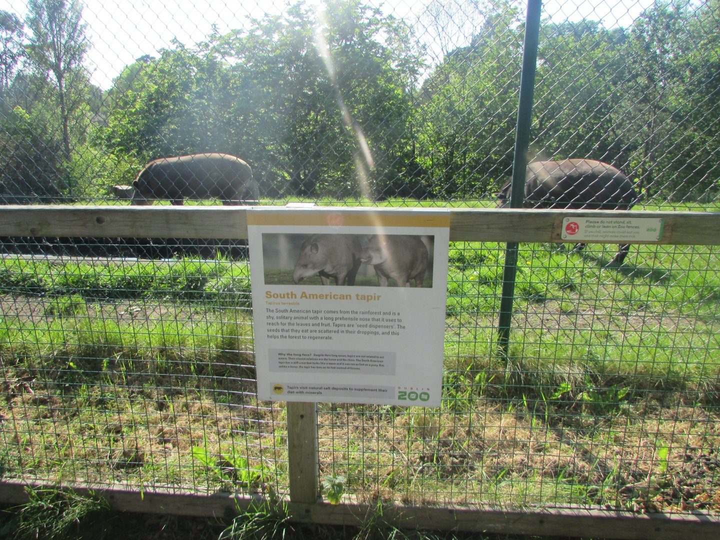 Dublin Zoo - Informative sign