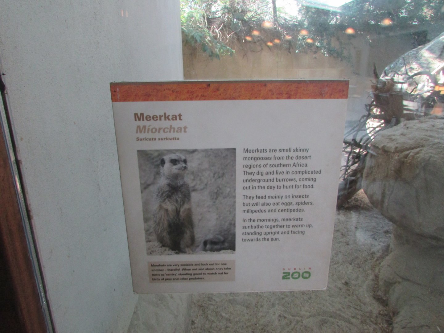 Dublin Zoo - Informative sign