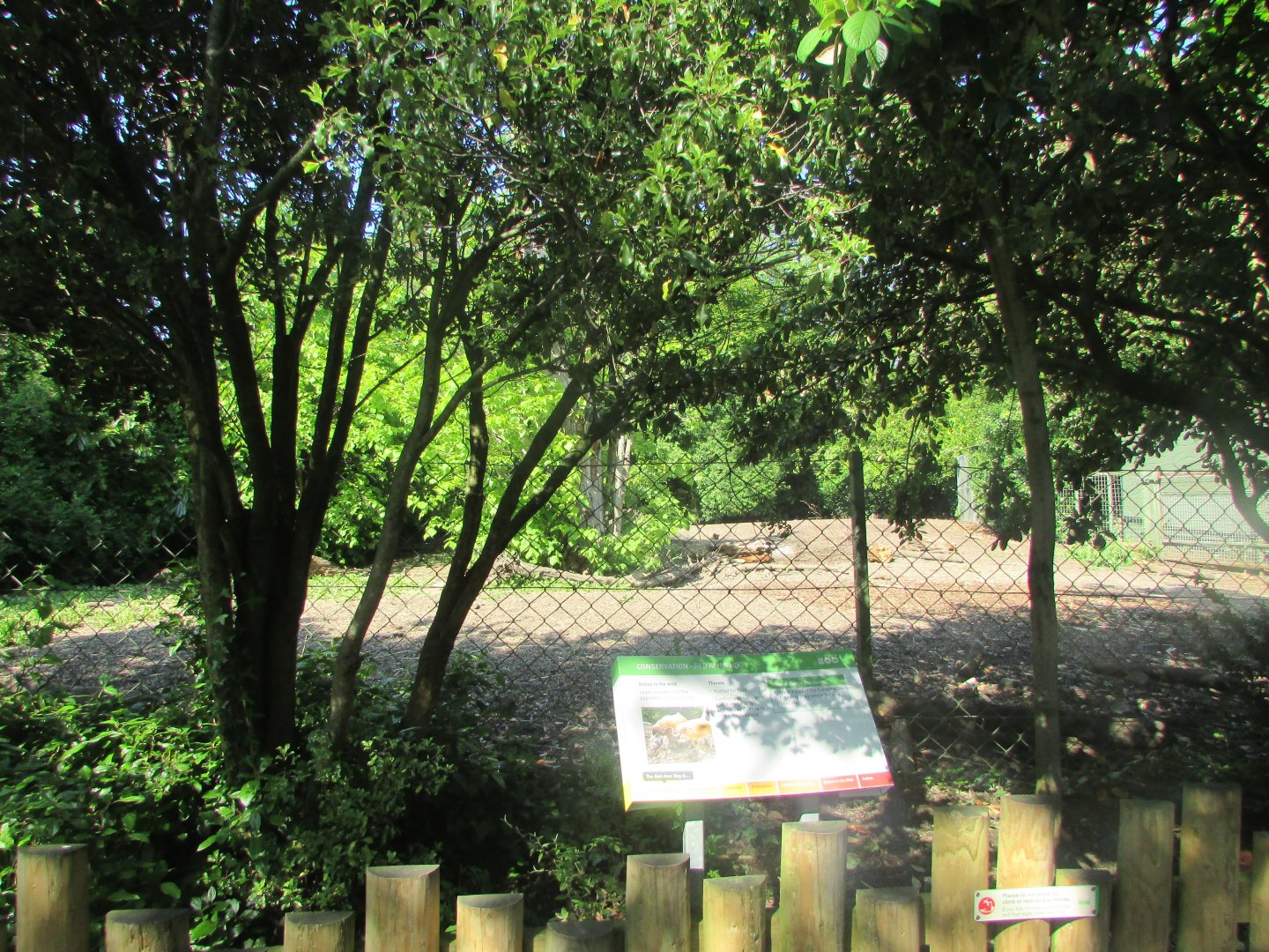 Dublin Zoo - Informative signage and red river hog exhibit