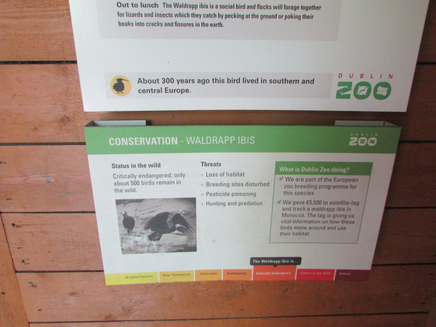 Dublin Zoo - Informative signage