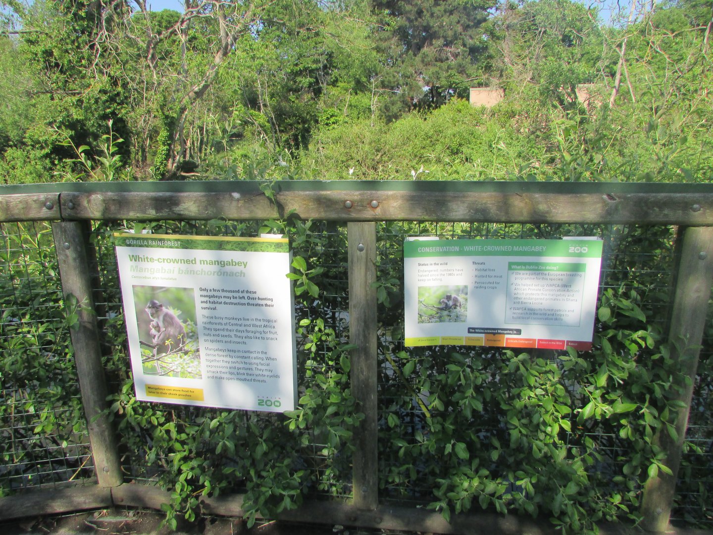 Dublin Zoo - Informative signs