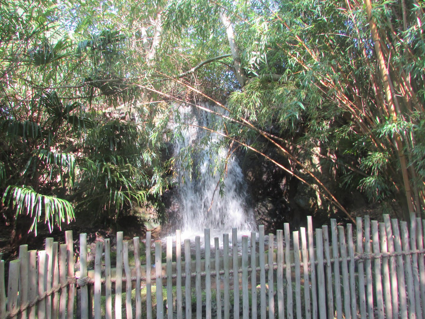 Dublin Zoo - Kaziranga Forest Trail waterfall