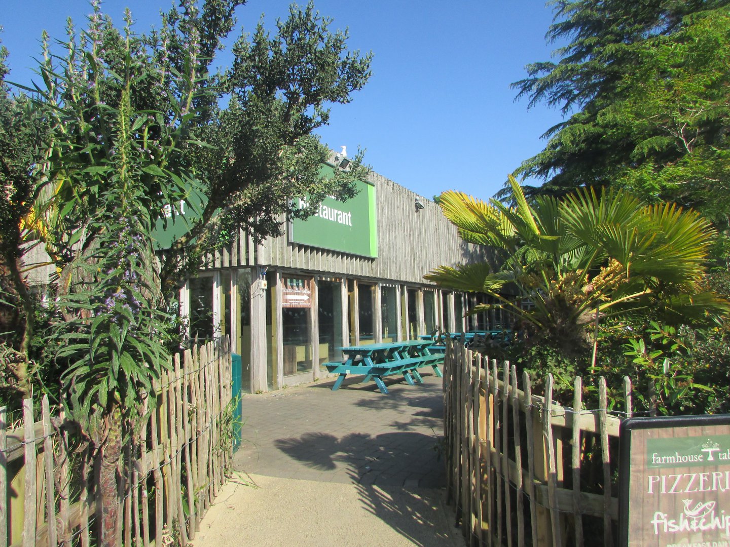 Dublin Zoo - Meerkat restaurant