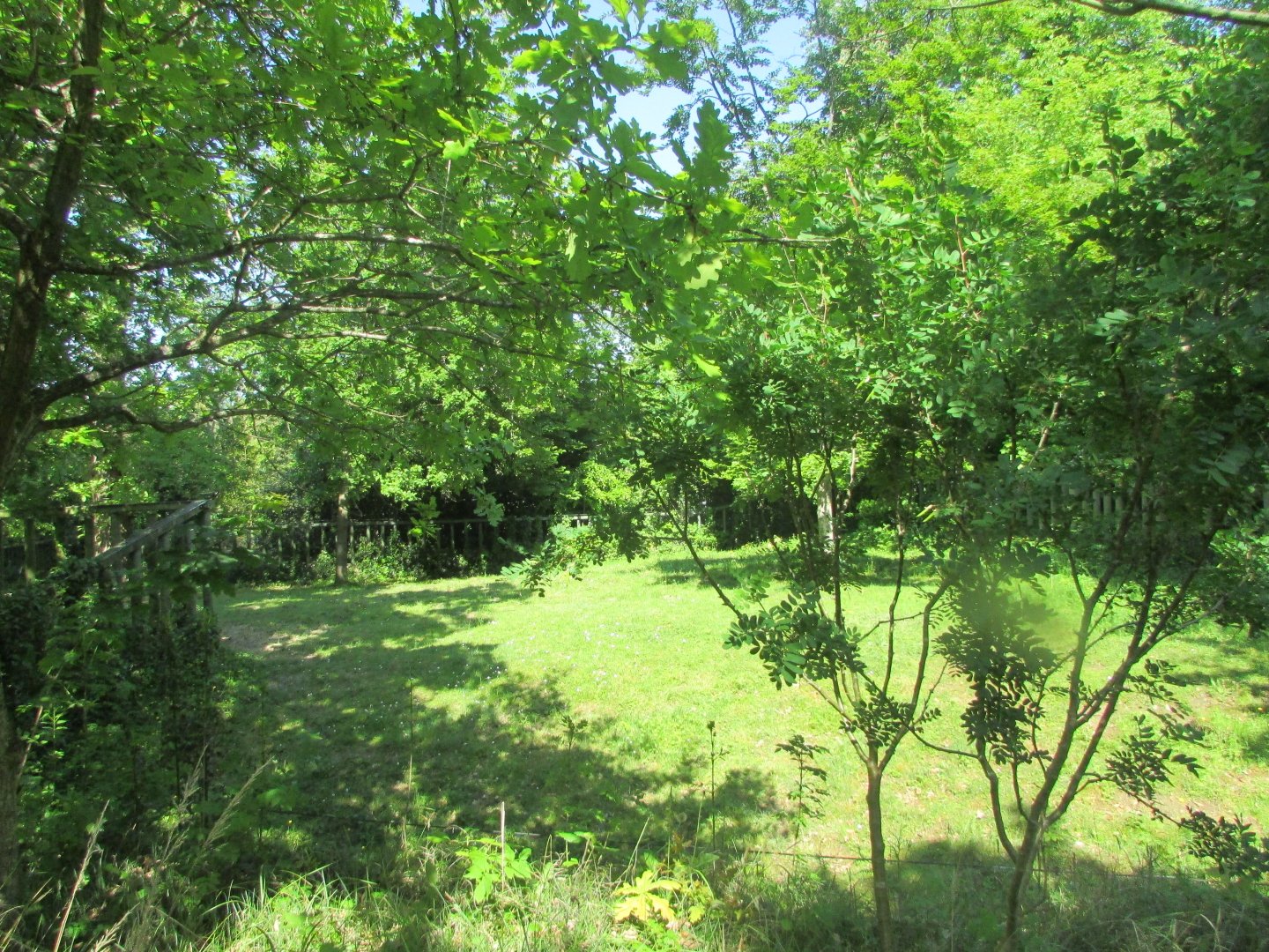 Dublin Zoo - Nile hippopotamus exhibit